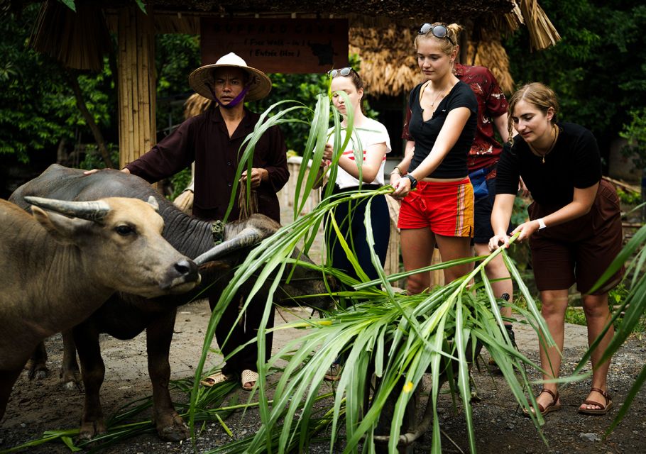 Ninh Binh: Buffalo riding, rice planting group tour - Buffalo Cave Start: Feeding, Showering, and Gentle Riding