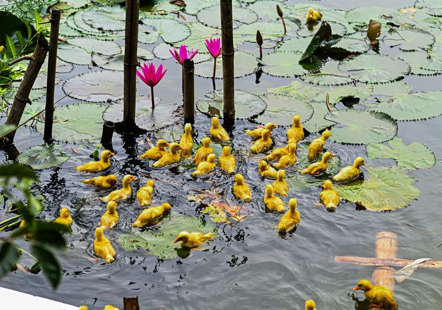 Ninh Binh cooking class at Buffalo Cave - Practical tips to make the class smoother
