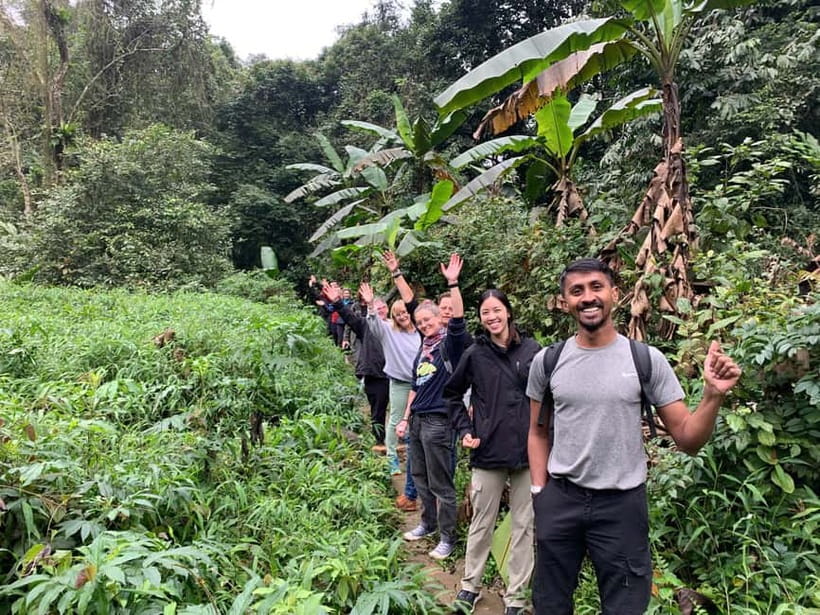 Ninh Binh: Cuc Phuong Jungle Hike & Wildlife Day Trip - The Guided Jungle Trek: Limestone Mountains, Giant Trees, and Cay Cho
