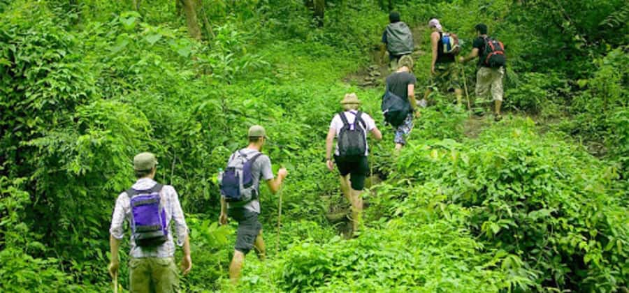 Ninh Binh: Cuc Phuong National Park 1 Day Small Group - From Hoa Lư to Cuc Phuong: How the Day Flows