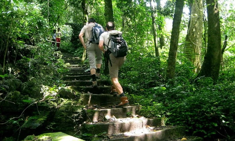 Ninh Binh : Cuc Phuong National Park One Day Group Tour - Price and what you truly get for $48