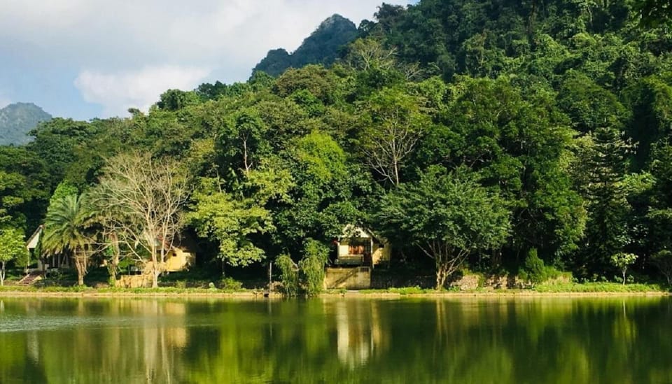 Ninh Binh : Cuc Phuong National Park One Day Group Tour - Two hike options: choosing between the 1000-year-old tree and the ancient tree