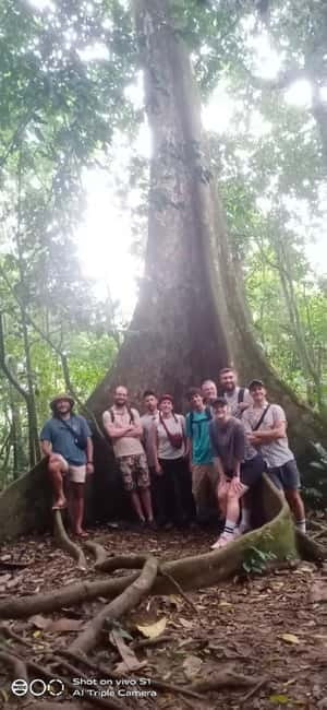 Ninh Binh : Cuc Phuong National Park One Day Group Tour - What to wear for jungle trekking (especially if bugs are your weakness)