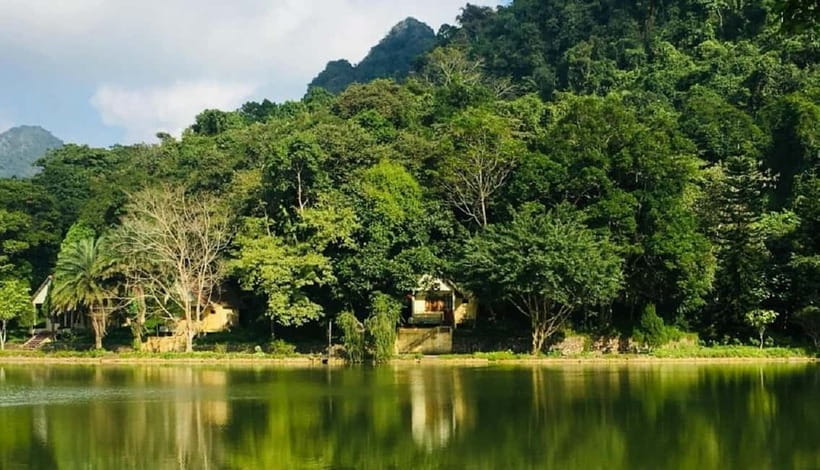 Ninh Binh : Cuc Phuong National Park One Day Group Tour - Pickup, transfer time, and how the day actually moves