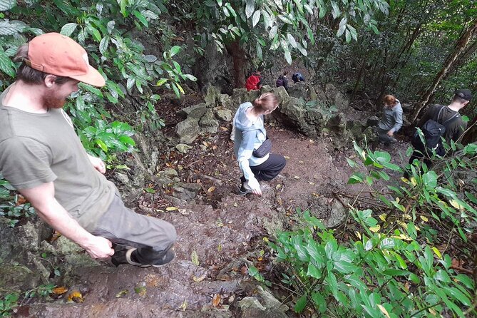 Ninh Binh: Cuc Phuong Natonal Park, Jungle Hike, Caving, Guide - Cuc Phuong in One Go: Primate Work, Cave Steps, and Cay Cho Xanh
