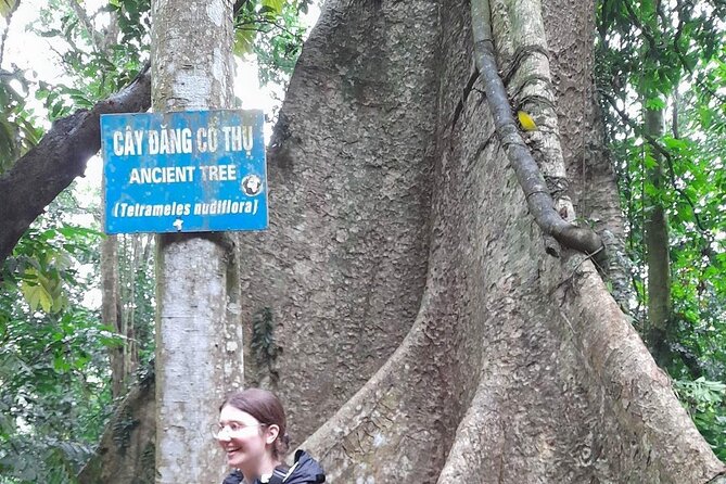 Ninh Binh: Cuc Phuong Natonal Park, Jungle Hike, Caving, Guide - Guide Viet and the Small-Group Advantage