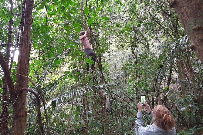 Ninh Binh: Cuc Phuong Natonal Park, Jungle Hike, Caving, Guide - Lunch in the Park Area: Keep It Light and Plan Your Afternoon