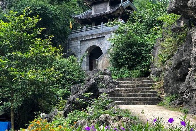 Ninh Binh Daily Tour: Hoa Lu- Am Tien Cave - Tam Coc- Bike - Bich Dong pagoda - Bike through rice fields and villages: the closest you get to daily life