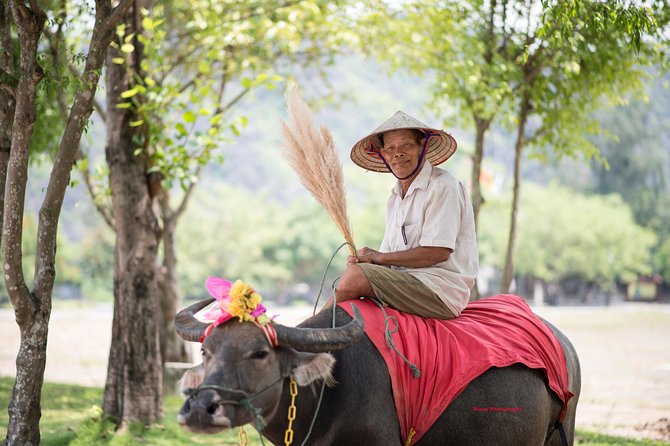 Ninh Binh Daily Tour: Hoa Lu - Tam Coc boat trip and Bike - Lunch that keeps you from turning hangry on a long day