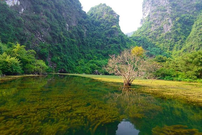 Ninh Binh Day Tour: Bai Dinh Trang An boat trip - Lunch in Ninh Binh: goat soup and local comfort food