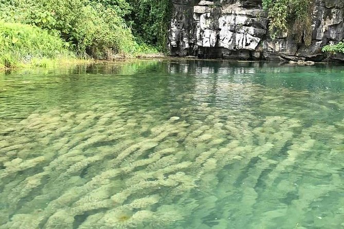 Ninh Binh Day Tour: Bai Dinh Trang An boat trip - Who should book this tour (and who might want a different day)