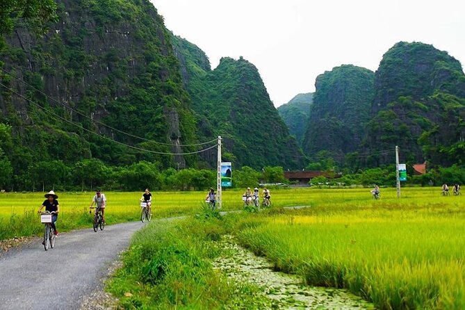 Ninh Binh Day Tour Tam Coc Mua Cave Hoa Lu Buffet Lunch Limousine - Mua Cave’s 500 steps: the climb that earns the panorama