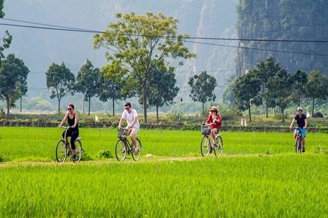 Ninh Binh Day Tour to Hoa Lu Trang An Mua Cave with Buffet Lunch - Price and Value: Is $53 a Good Deal?