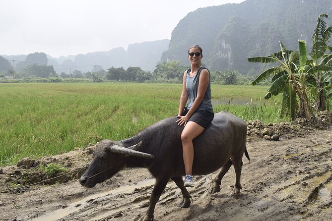 Ninh Binh eco group tour - Buffalo riding, rice planting, fishing - Fishing in the countryside: tackle provided, and the method is part of the story