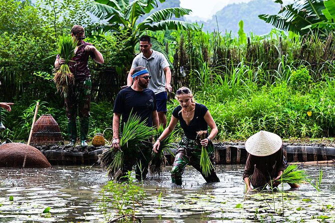 Ninh Binh eco group tour - Buffalo riding, rice planting, fishing - Cooking class: turning the day into something you remember