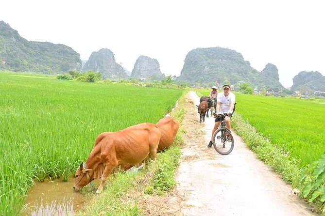 Ninh Binh Full-Day Small Group of 9 Guided Tour from Hanoi - Tam Coc Sampan Boats: Caves, Calm Water, and Shade Tips