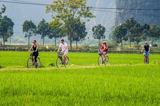 Ninh Binh Full Day Tour to Hoa Lu Tam Coc Mua Cave Buffet Lunch - Mua Cave and the nearly 500-step viewpoint payoff