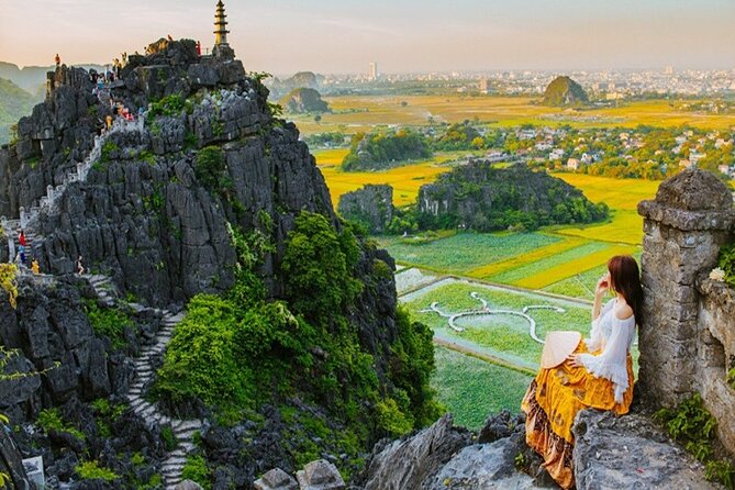 Ninh Binh Full Day Tour to Hoa Lu Trang An Mua Cave Small Group - The built-in lunch: buffet with vegetarian options