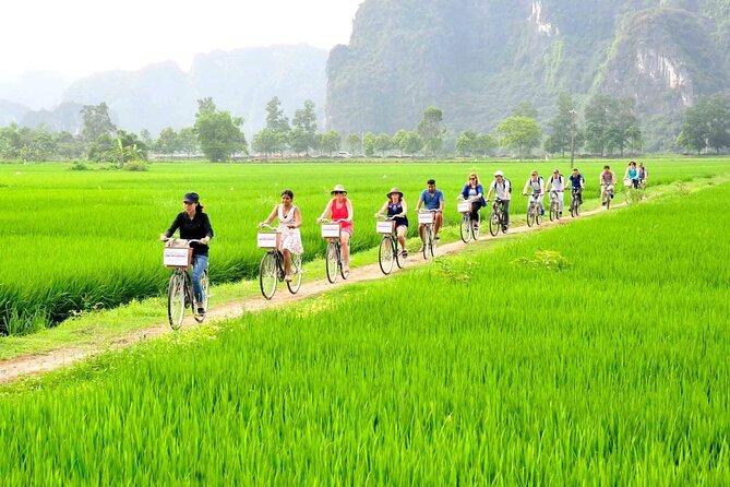 Ninh Binh Full Day Tour with Hoa Lu, Tam Coc and Mua Cave - Price and Value: Is $41 a Good Deal?