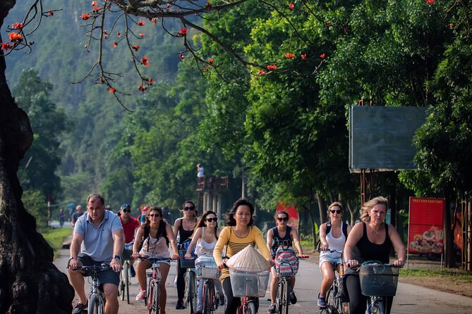 Ninh Binh Full Day Tour with Hoa Lu, Trang An and Mua Cave - Mua Cave: the 500 steps and the view payoff