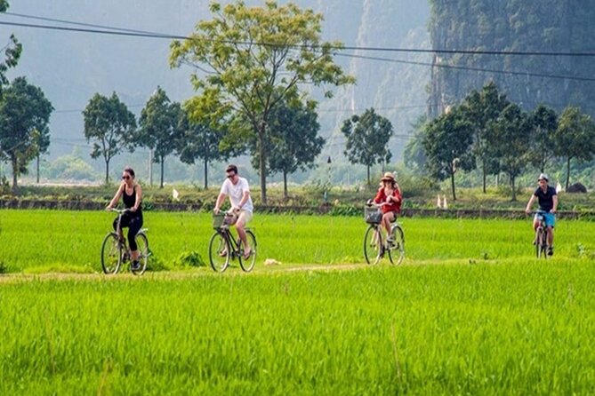 Ninh Binh Full-Day Trip to Trang An Mua Cave Hoa Lu Buffet Lunch - Lunch and timing: how the day stays full without feeling chaotic