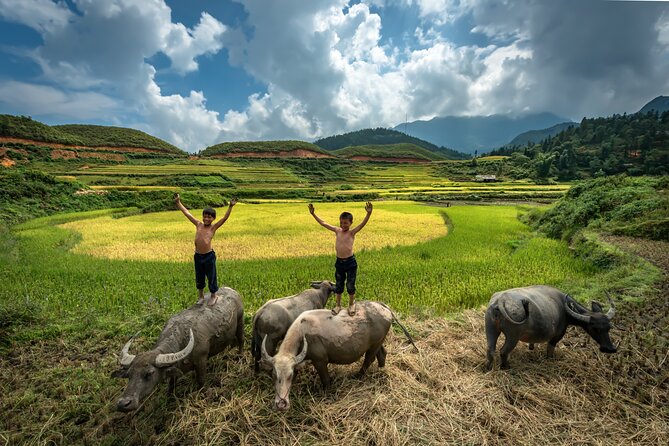 Ninh Binh Group Tour of 11 from Hanoi via Mua Cave Tam Coc Hoa Lu - Hoa Lu: Temples and the Ancient Core of the Region