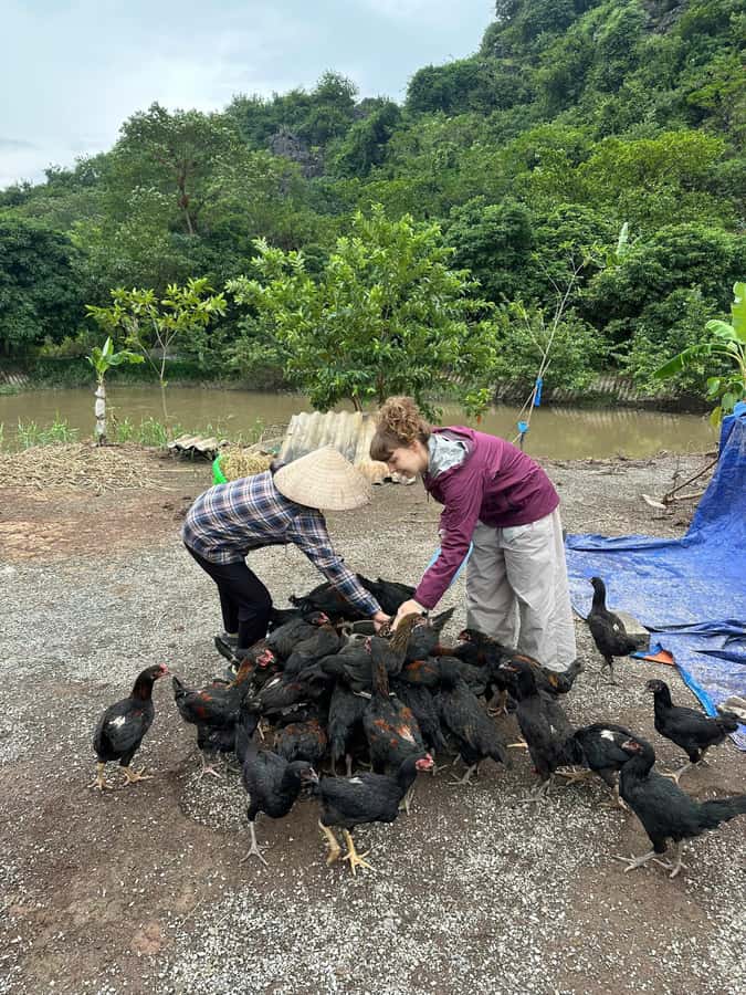 Ninh Binh: Half-Day Cooking Class at a Local Home - Why This Half-Day Cooking Class Works Better Than a Usual “Recipe Tour”