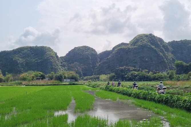 Ninh Binh HIGHTLIGHT & HIDDEN GEM Tour From Hanoi: Skip-The-Line - Scooter backroads and countryside lanes: the fun part you shouldn’t rush