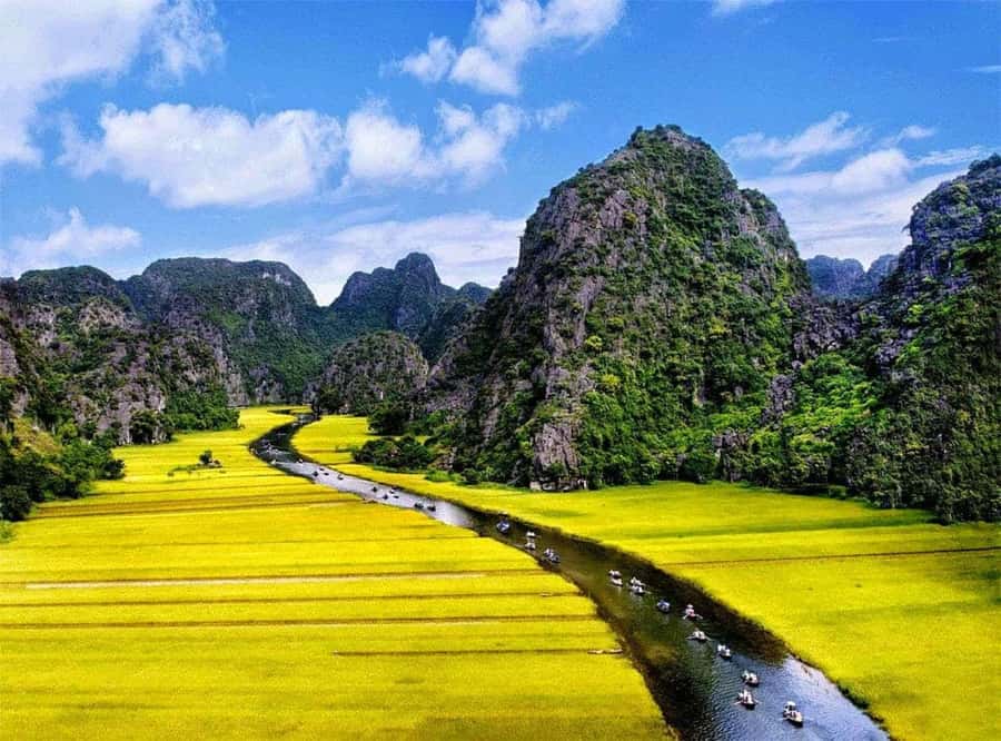 Ninh Binh: Hoa lu, Bai Dinh, Trang an & Mua cave Small Group - Pickup timing and how the van day actually feels