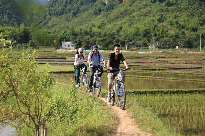 Ninh Binh-Hoa Lu-Tam Coc - Mua cave - Dragon Mountain Hiking 1 Day Tour - The Múa Cave climb: nearly 500 steps, big payoff