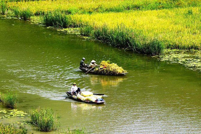 Ninh Binh-Hoa Lu-Tam Coc - Mua cave - Dragon Mountain Hiking 1 Day Tour - A quick word on guides (Viet is a good sign)