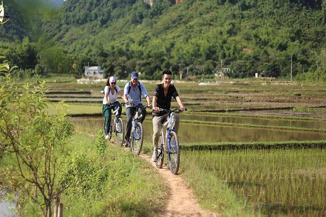 NINH BINH MEMORABLE DAY: Hoa Lu, Mua Cave, boat trip Tam Coc, Trang An optional - Tam Coc Sampan Ride: Slow Boat, Sharp Views