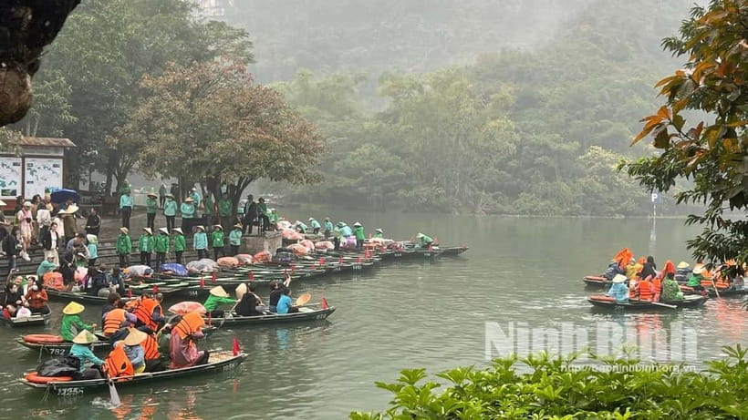 Ninh Binh: Mua Cave Hike, Trang An Boat & Village Bike Tour - Quick hits you’ll care about