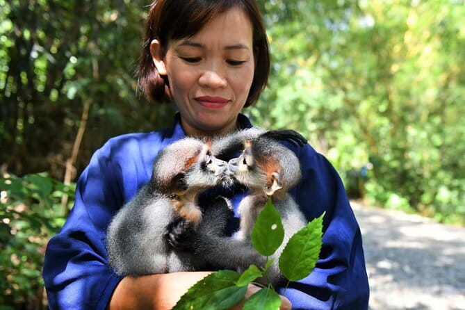 Ninh Binh One Day Cuc Phuong National Park Small Group Tour - Key things that make this tour worth your time