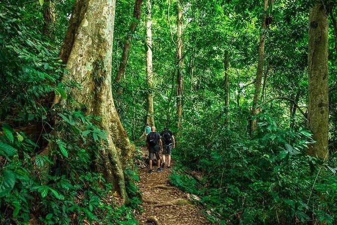 Ninh Binh One Day Cuc Phuong National Park Small Group Tour - Choosing your trek to the Thousand Year Old Tree or Ancient Tree