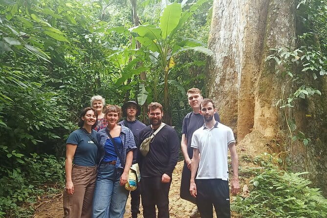 Ninh Binh One Day Cuc Phuong National Park Small Group Tour - Vietnamese lunch inside the reserve: included and timed well