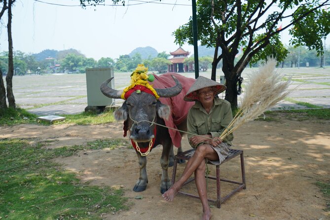 Ninh Binh One Day Trips- from Hanoi - Cycling Through Villages: The Best Break From Temples