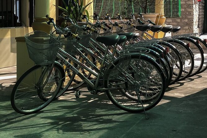 Ninh Binh Private VIP Tour - The Bike Moment and Village Roads: Where the Countryside Feels More Real