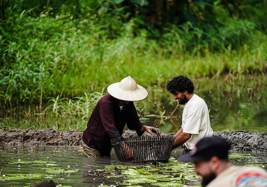 Ninh Binh: Rice planting and fishing by basket tour - Quick hits: what makes this Ninh Binh tour click