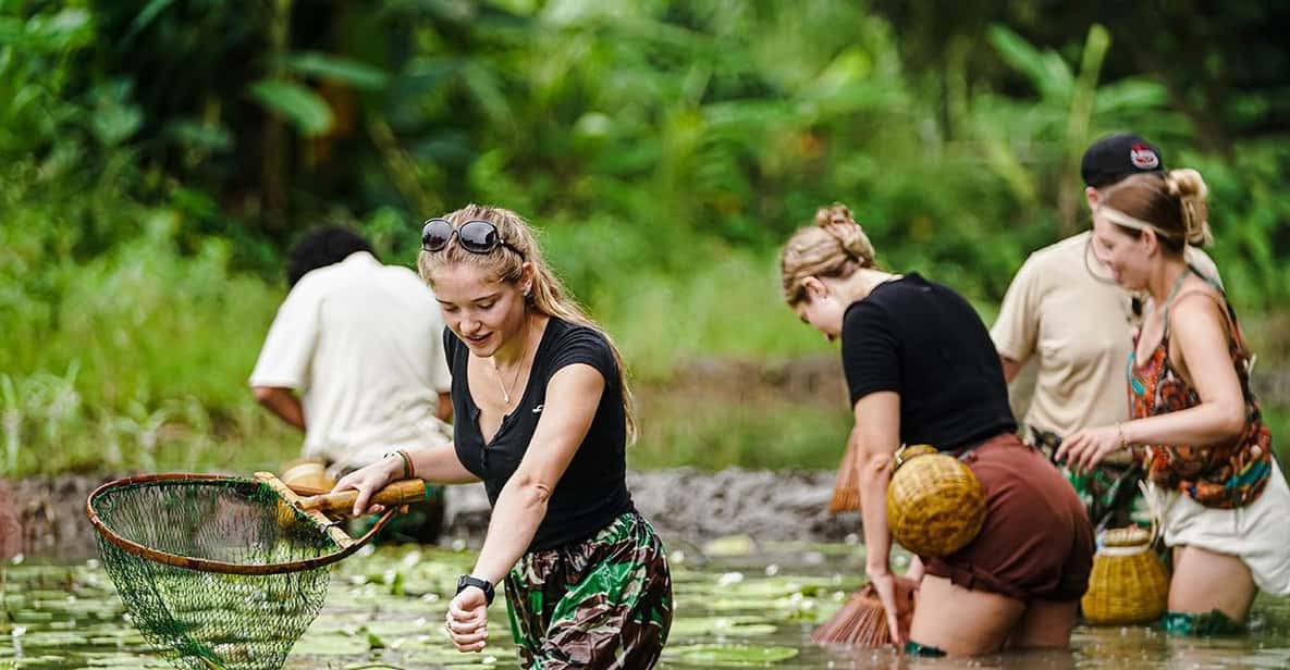 Ninh Binh: Rice planting and fishing by basket tour - Buffalo feeding, showering, and a buffalo ride