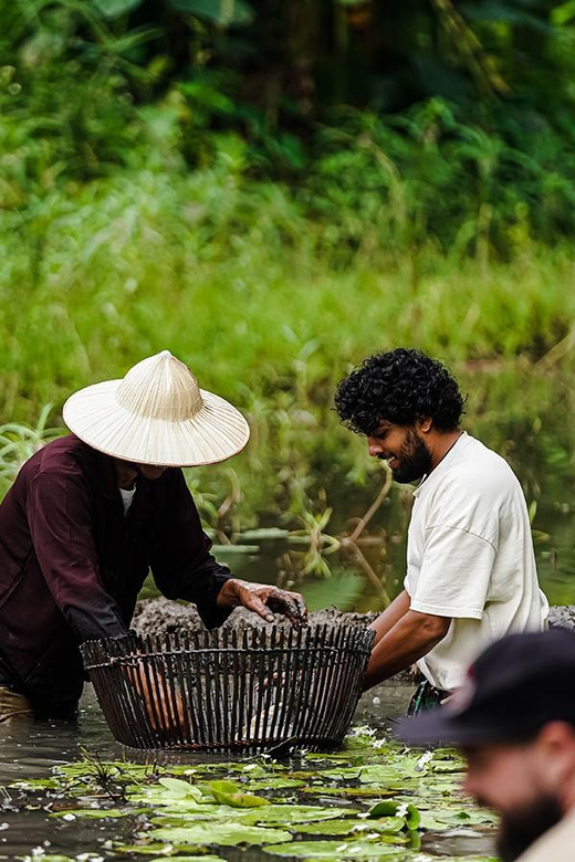 Ninh Binh: Rice planting and fishing by basket tour - Rice planting in Vietnamese fields: seeing the cycle, then doing the work