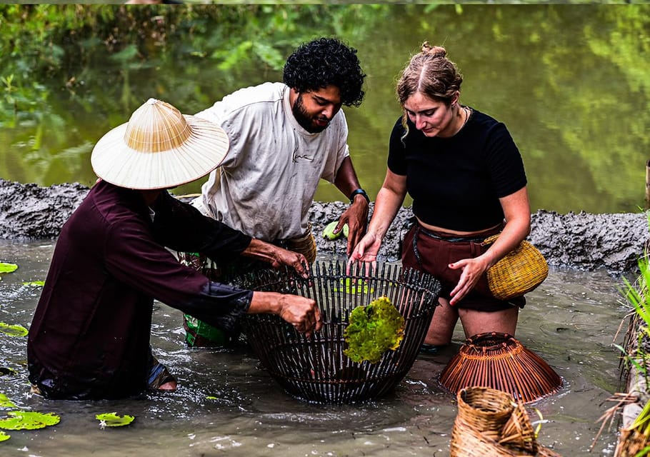 Ninh Binh: Rice planting and fishing by basket tour - English guide, tools, and what you actually get for the money