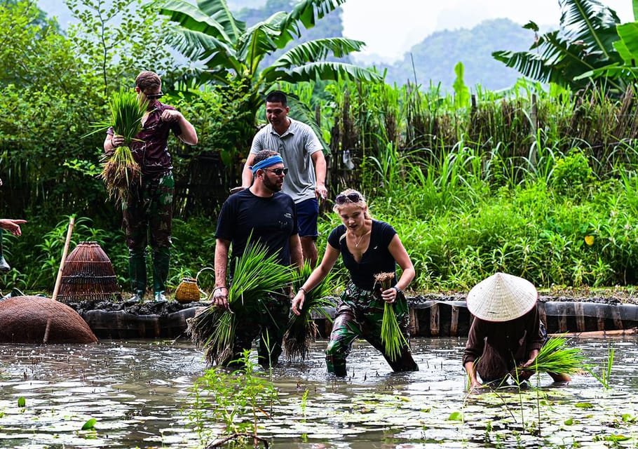 Ninh Binh: Rice planting and fishing by basket tour - Catching fish with the nom tool: the hands-on highlight