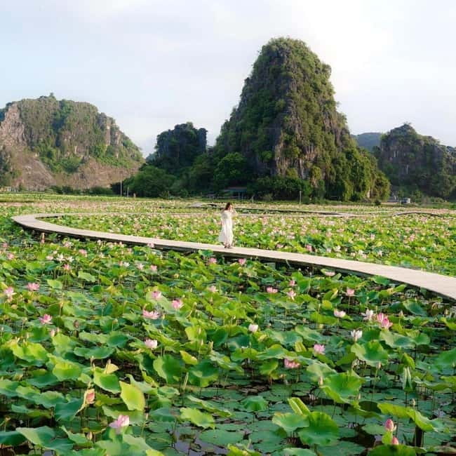 Ninh Binh Sunset Motorbike: Mua Cave, Coi Khe & Hoa Lu Town - Hotel Pickup at 16:00: The Secret Sauce for Golden Hour