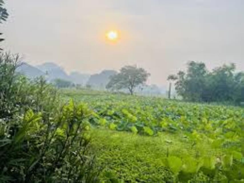 Ninh Binh Sunset Tour And Visit Hoa Lu Walking Town At Night - Price and logistics: what’s included, what isn’t, and how to plan your money