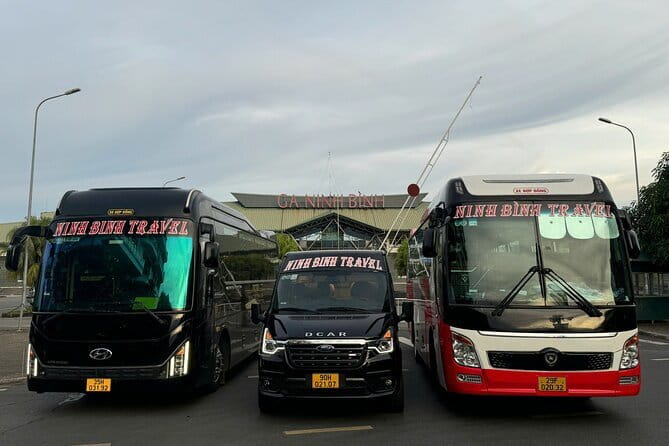Ninh Binh to Cat Ba Luxury Transportation with D-Class Limousine - Key Details I’d Plan Around (Before You Go)