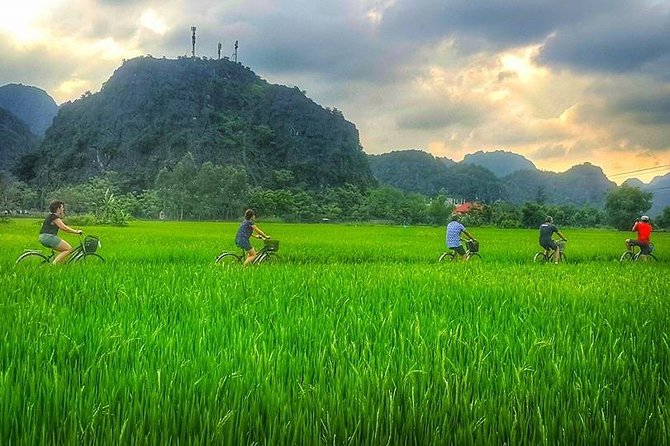 Ninh Binh Tour Bai Dinh Trang An Mua Cave Small Group Limousine - Price and value at $56: what you get for your money