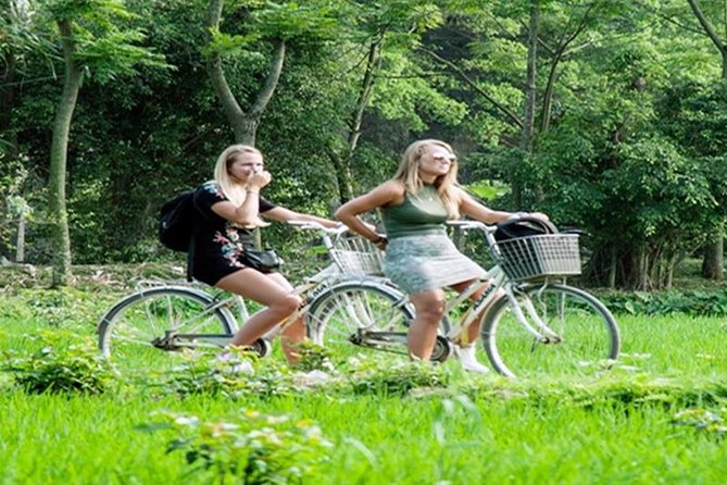 Ninh Binh Tour Hoa Lu Tam Coc Full Day: Biking,Boating,Tickets,Lunch, Limousine - Bike time after the boat: countryside views with a gentle workout