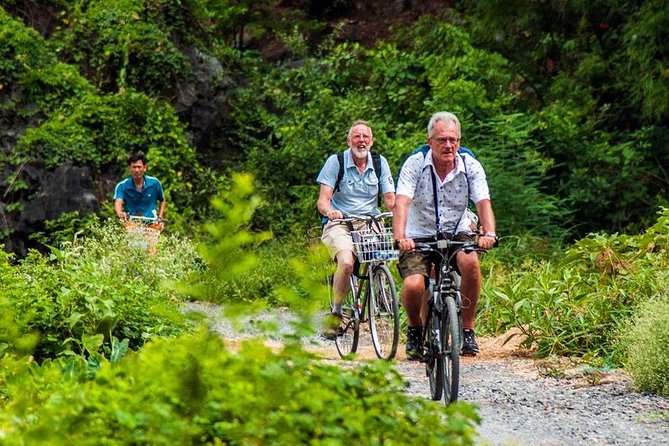 Ninh Binh Tour Hoa Lu Tam Coc Full Day: Biking,Boating,Tickets,Lunch, Limousine - Should you book it or not?