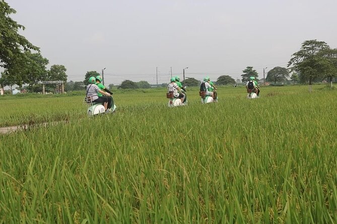 Ninh Binh Vespa Start from Hanoi + Boat + Villages +Rice Paddies - Lunch in the countryside: local Vietnamese food, set menu, and diet realities
